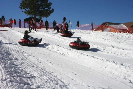 tours in big bear